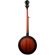 Washburn B8K: Picture 3 thumbnail