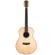 Washburn Bella Tono Elegante S24S: Picture 1 thumbnail