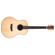 Washburn Bella Tono Elegante S24S: Picture 2 thumbnail