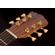 Washburn Bella Tono Elegante S24S: Picture 3 thumbnail