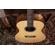 Washburn Bella Tono Elegante S24S: Picture 4 thumbnail