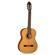 Washburn C40: Picture 1 thumbnail