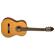 Washburn C40: Picture 2 thumbnail