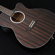 Washburn Deep Forest Ebony ACE: Picture 4 thumbnail