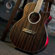 Washburn Deep Forest Ebony ACE: Picture 6 thumbnail