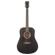 Washburn Deep Forest Ebony D: Picture 1 thumbnail