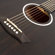 Washburn Deep Forest Ebony D: Picture 7 thumbnail