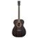 Washburn Deep Forest Ebony FE: Picture 1 thumbnail