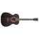 Washburn Deep Forest Ebony FE: Picture 2 thumbnail