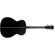 Washburn Deep Forest Ebony FE: Picture 3 thumbnail