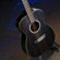 Washburn Deep Forest Ebony FE: Picture 4 thumbnail