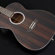 Washburn Deep Forest Ebony FE: Picture 7 thumbnail