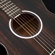 Washburn Deep Forest Ebony FE: Picture 10 thumbnail