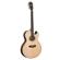 Washburn EA20SNB: Picture 6 thumbnail