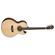 Washburn EA20SNB: Picture 1 thumbnail