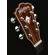 Washburn EA20SNB: Picture 3 thumbnail