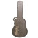 Washburn Hard Case: Picture 2 thumbnail
