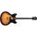 Washburn HB30TSK: Picture 1 thumbnail