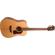 Washburn Heritage 100: Picture 1 thumbnail