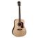 Washburn HD10S: Picture 1 thumbnail