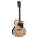 Washburn HD10SCE12: Picture 1 thumbnail