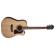 Washburn HD10SCE: Picture 2 thumbnail