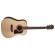 Washburn HD10S: Picture 2 thumbnail