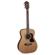 Washburn HF11S: Picture 1 thumbnail