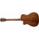Washburn HF11SCE: Picture 1 thumbnail