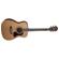 Washburn HF11S: Picture 3 thumbnail