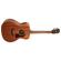 Washburn Heritage 100: Picture 3 thumbnail