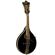 Washburn M1SDLB: Picture 2 thumbnail