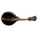 Washburn M1SDLB: Picture 1 thumbnail