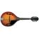 Washburn M1S: Picture 2 thumbnail