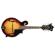 Washburn M3SWK: Picture 2 thumbnail
