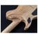 Washburn Nele Deluxe: Picture 8 thumbnail