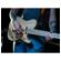 Washburn Nele Standard: Picture 12 thumbnail