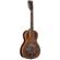 Washburn R360K: Picture 1 thumbnail