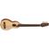 Washburn RO10E: Picture 1 thumbnail