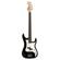 Washburn Sonomaster SB1P: Picture 2 thumbnail