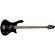 Washburn T12B: Picture 1 thumbnail