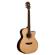 Washburn WCG25SCE: Picture 1 thumbnail