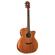 Washburn WCG55CE: Picture 1 thumbnail