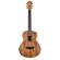 Washburn Comfort Guitar: Picture 1 thumbnail