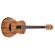 Washburn Comfort Guitar: Picture 2 thumbnail