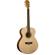 Washburn Harvest G7S: Picture 1 thumbnail