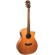 Washburn Woodline 100: Picture 2 thumbnail
