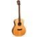 Washburn Woodline 100: Picture 1 thumbnail