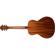 Washburn Woodline 100: Picture 2 thumbnail