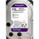 WD Purple: Picture 2 thumbnail